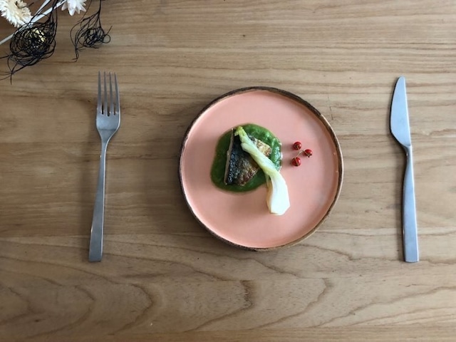深田涼 Picture Frame サーモンピンク Sサイズ