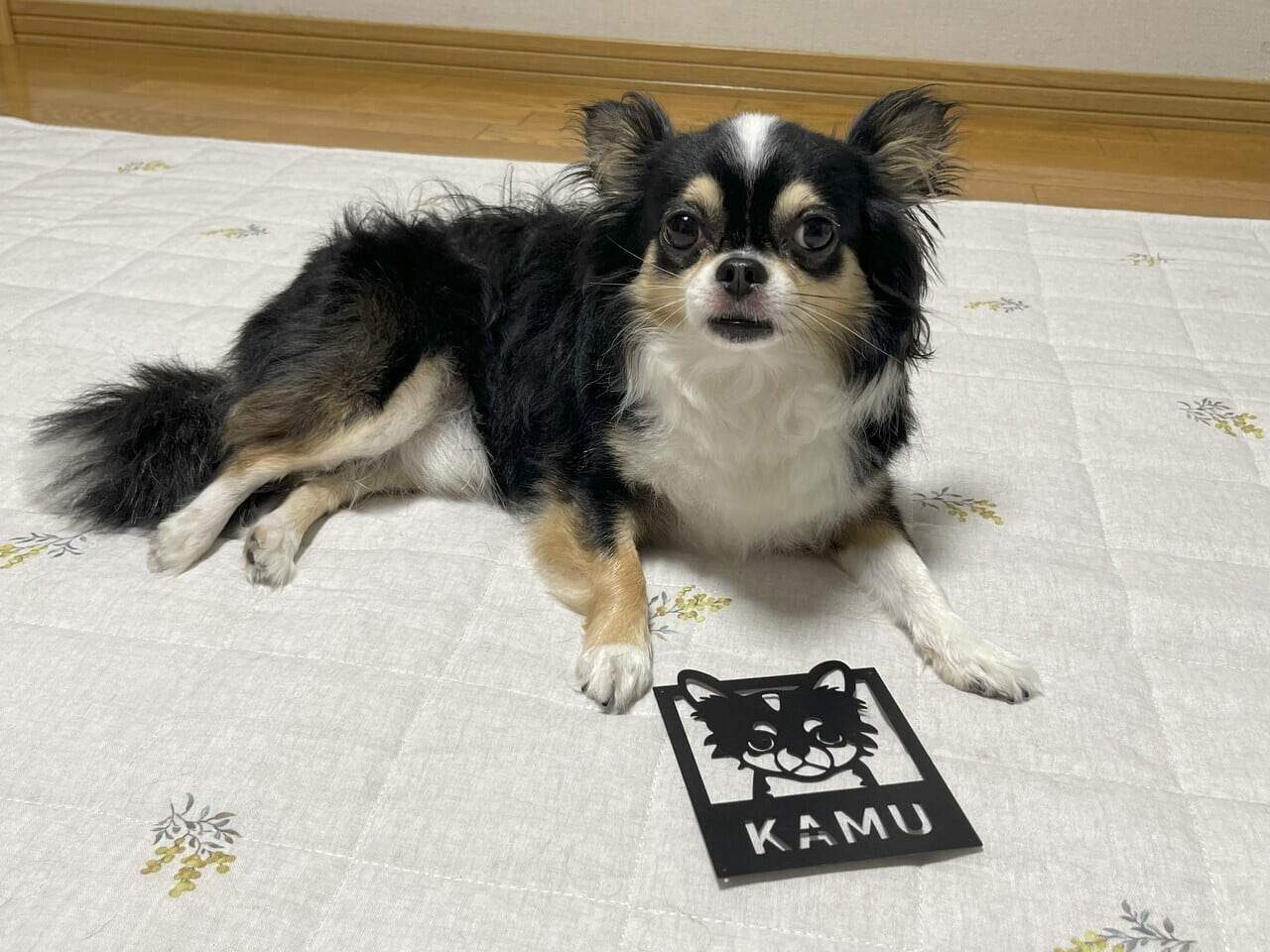 犬がいます！サインをおしゃれに【DOG at HOME】プレート ステッカー