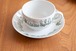 アラビア社 Arabia Of Finland カップ&ソーサー POLARIS シリーズ b