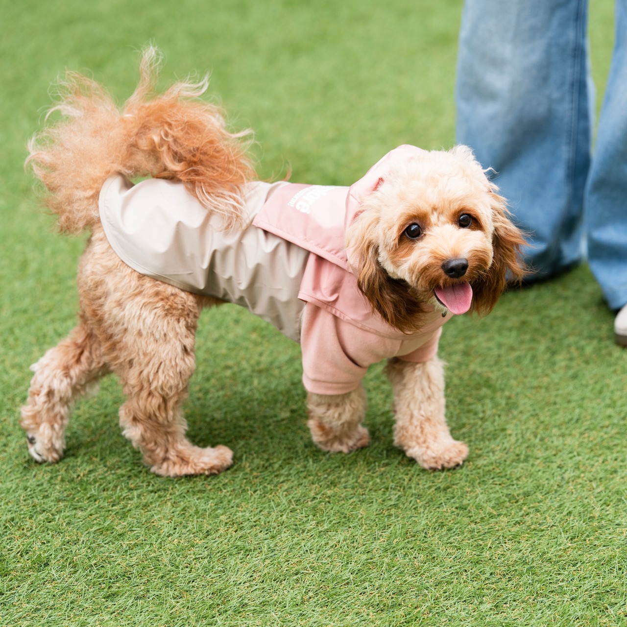 38DOG RAINCORT / PINK