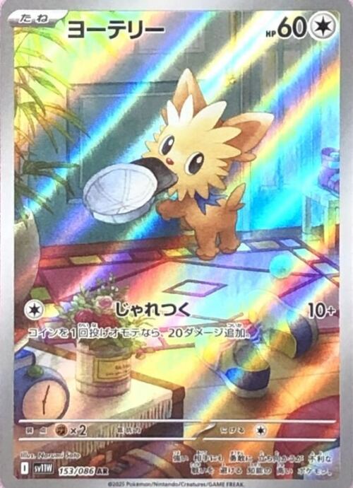 【美品】ヨーテリー(AR)