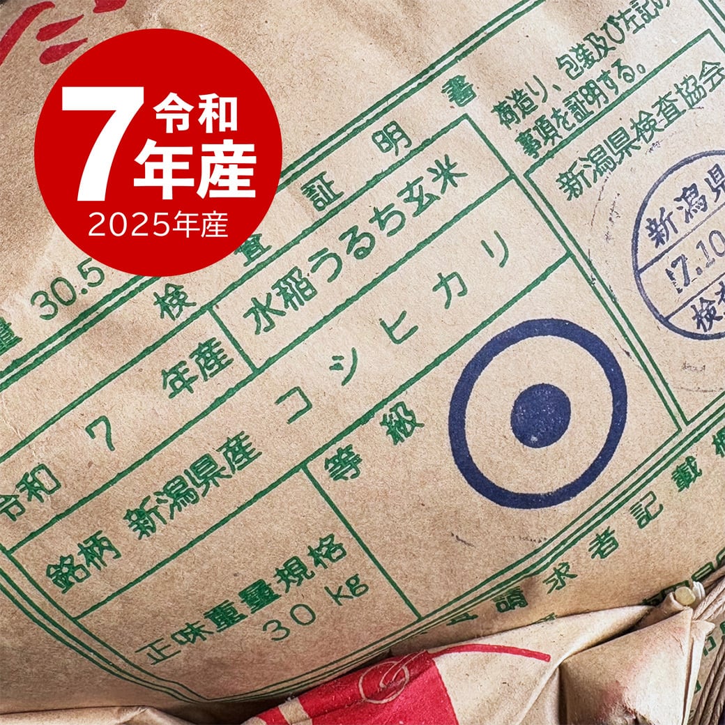 新潟産コシヒカリ 10kg 令和7年産 | 越後の稲穂屋