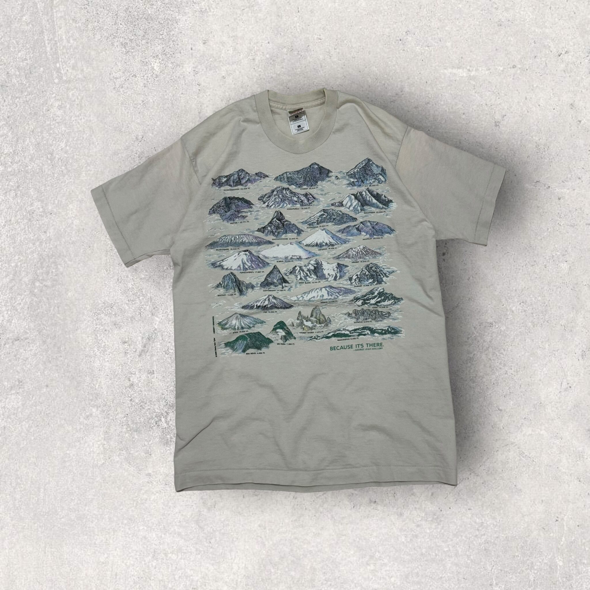 "90's Fruit of the Loom" mountain t-shirt