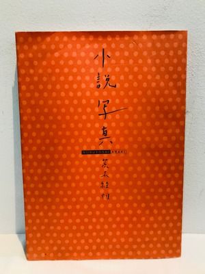 写真小説　荒木経惟