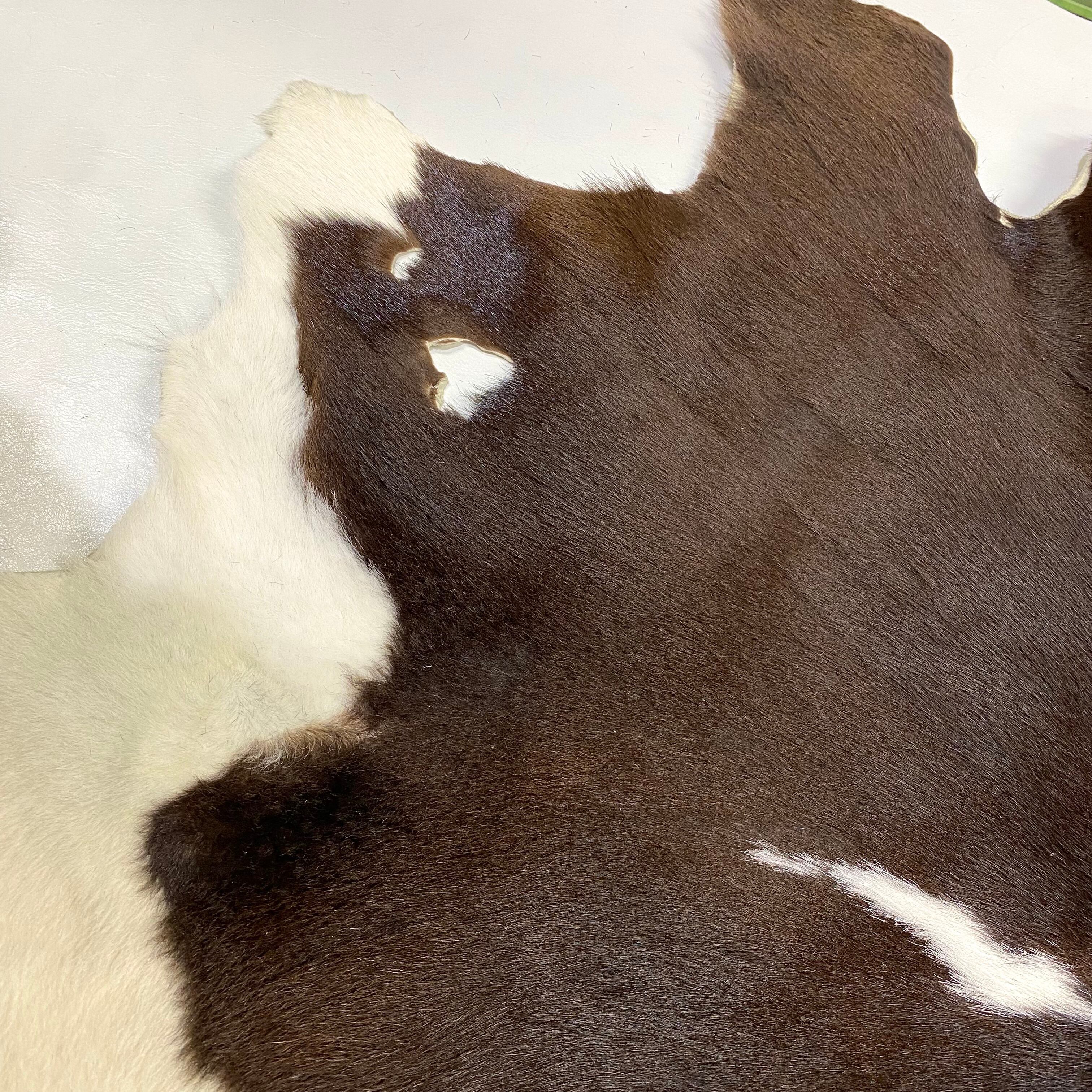 毛皮】ヘアカーフ(仔牛) ※日暮里店舗兼用在庫 O10F-004 | and leather