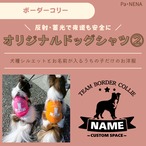 反射,蓄光素材あり! オリジナルドッグTシャツ(ボーダーコリー)
