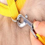 予約 ペットグッズ お花のコサージュ付き リード付きハーネス 犬 猫 小型犬 中型犬 大型犬 調整可能 メッシュ素材 通気性 快適 軽量 胴輪タイプ 散歩用 可愛い フラワーデザイン コスチューム 首に優しい おしゃれ お出かけグッズ cw-a-6670