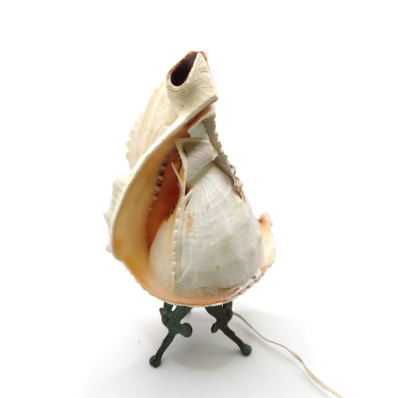 蔵出し！シェルカメオ ランプ *ランプとしての使用不可 | 柳澤商会