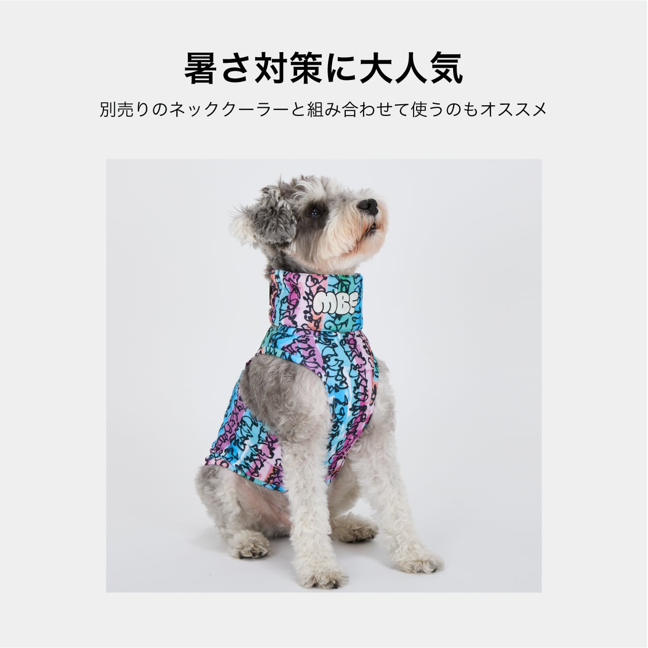 CCL COOLING TANK（XS.S） CCLクーリングタンク | MANDARINE BROTHERS