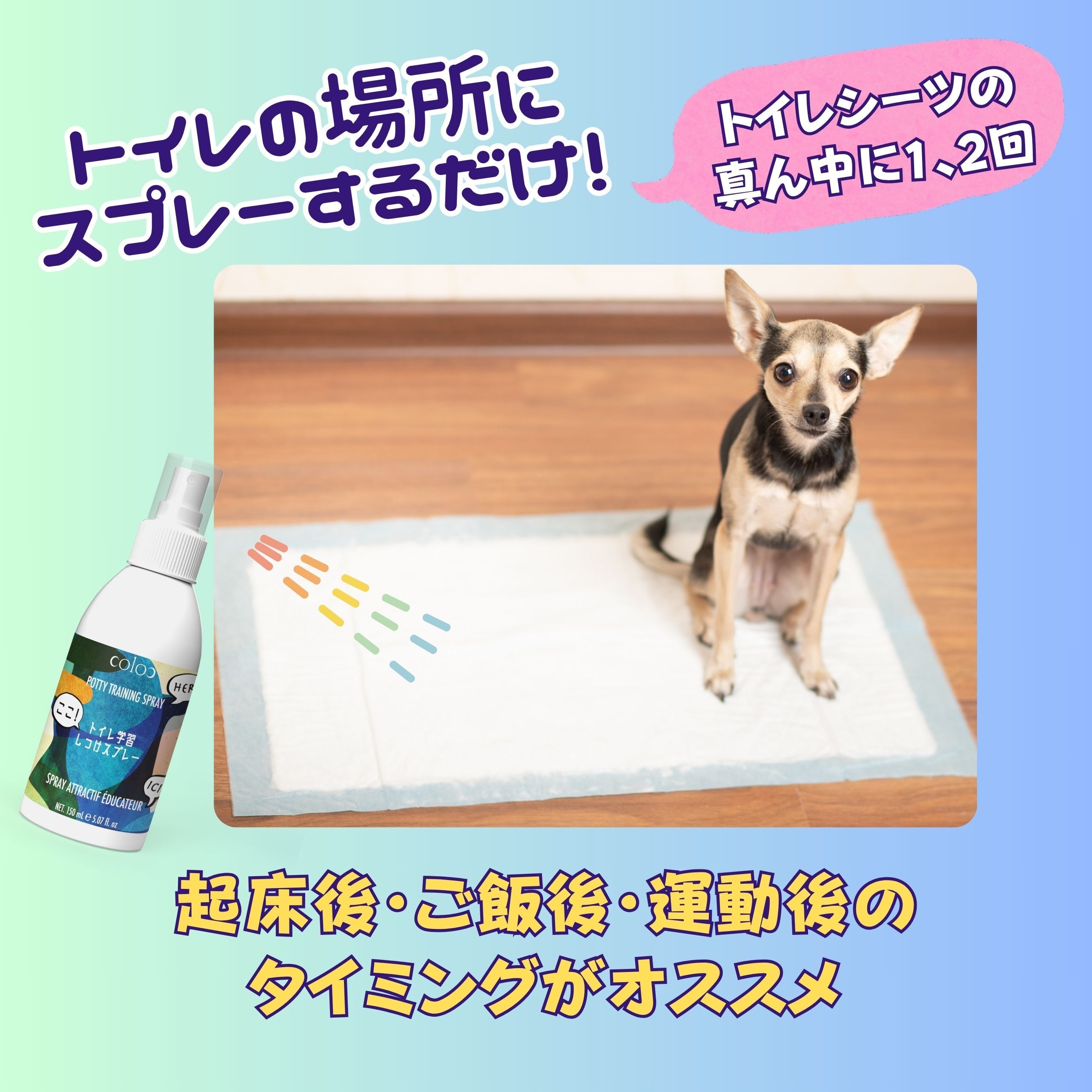 トイレ学習しつけスプレー150mL | coloc｜コロック