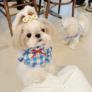 【PET】ブルー系格子柄フリル付きワンピース