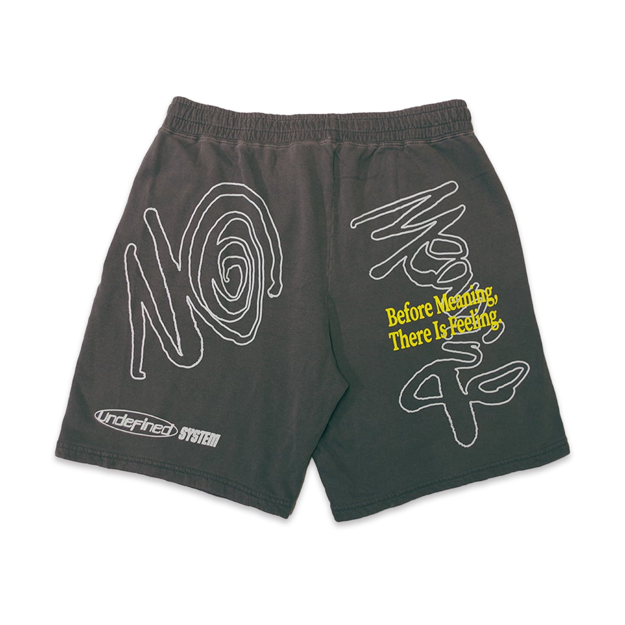 Shorts【No Meaning】 | HOME ECONOMICS EXPERIMENT