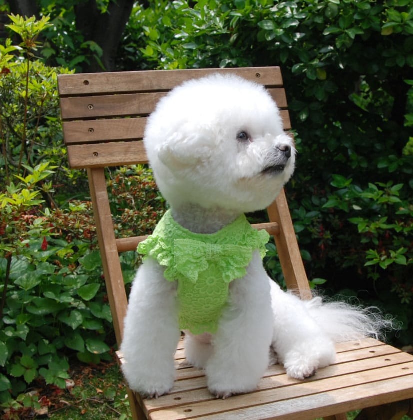 予約【eomuk】Daisy Frill Soft Harness (Mint)