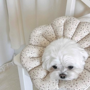 【即納】EYOU ピオナ ネックカラー（ソフトブロッサム）｜ラベンダー