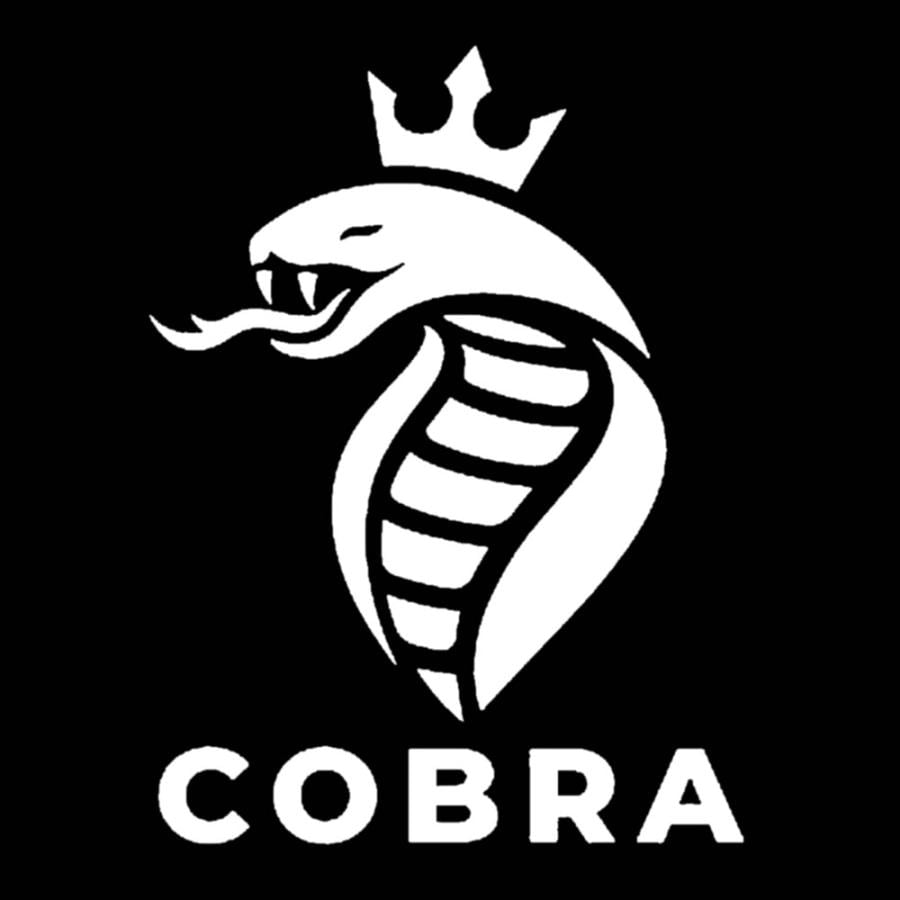 車 ステッカー コブラ 王冠 蛇 ヘビ キング 爬虫類 給油口 おもしろ