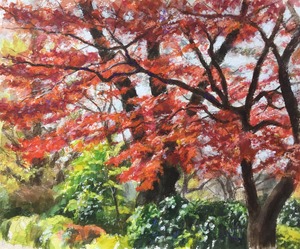 水彩#11「もみじ」F2 / Wate Color #12 "Maple tree" F2