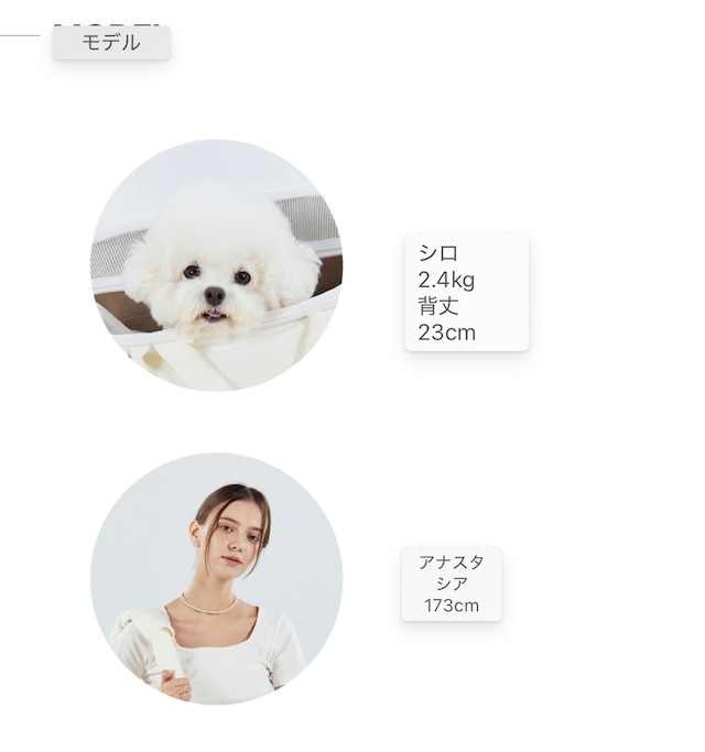 3WAYペットバッグ(WHITE)