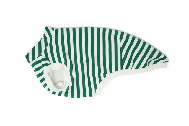 STS-027 サルーキ グリーンボーダー薄手タンクトップ