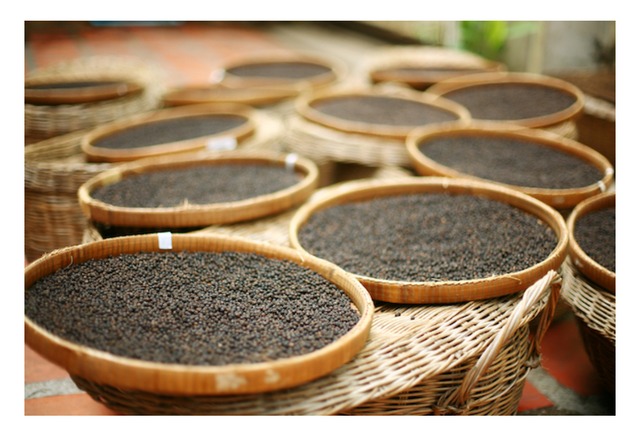 倉田さん情熱の黒胡椒