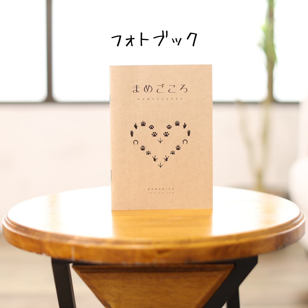 フォトブック （まめごころ） | studio-anne