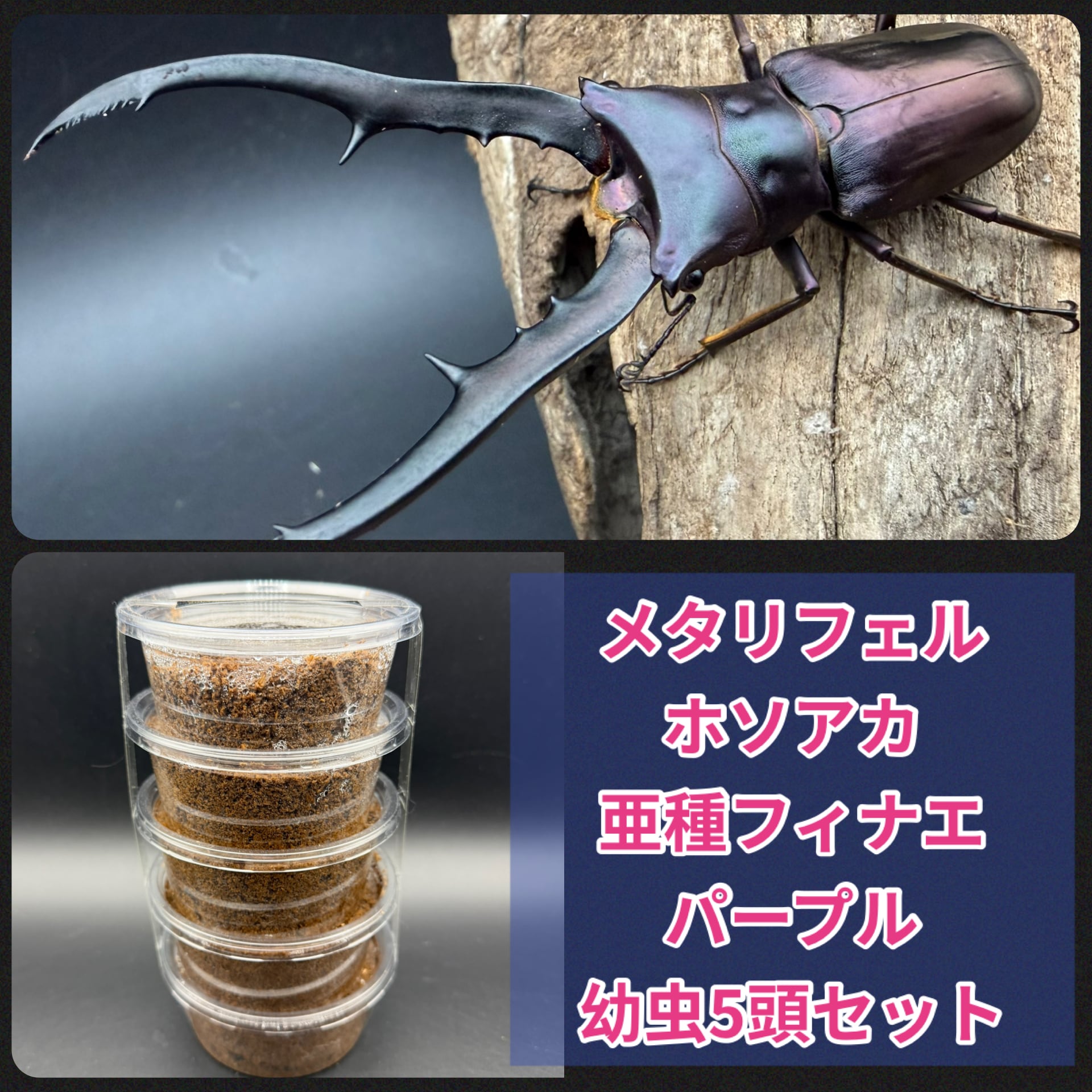 S8カンタケ 1400cc | KPW BASE店