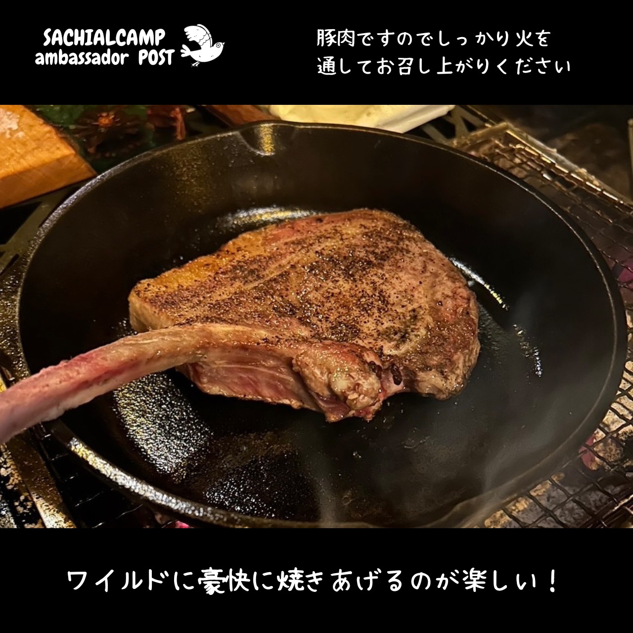 【SPF認定農場】地養豚『トマホーク』　Mサイズ 約400g