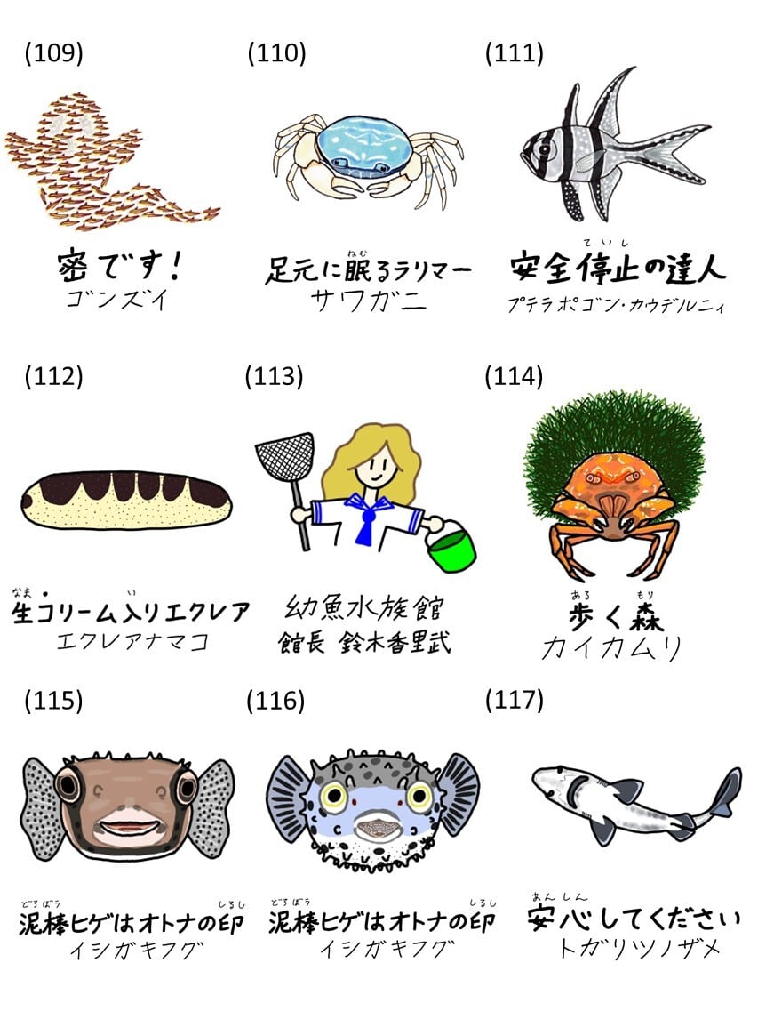 全127種】オリジナル魚名板アクリルキーホルダー | 幼魚屋オンライン