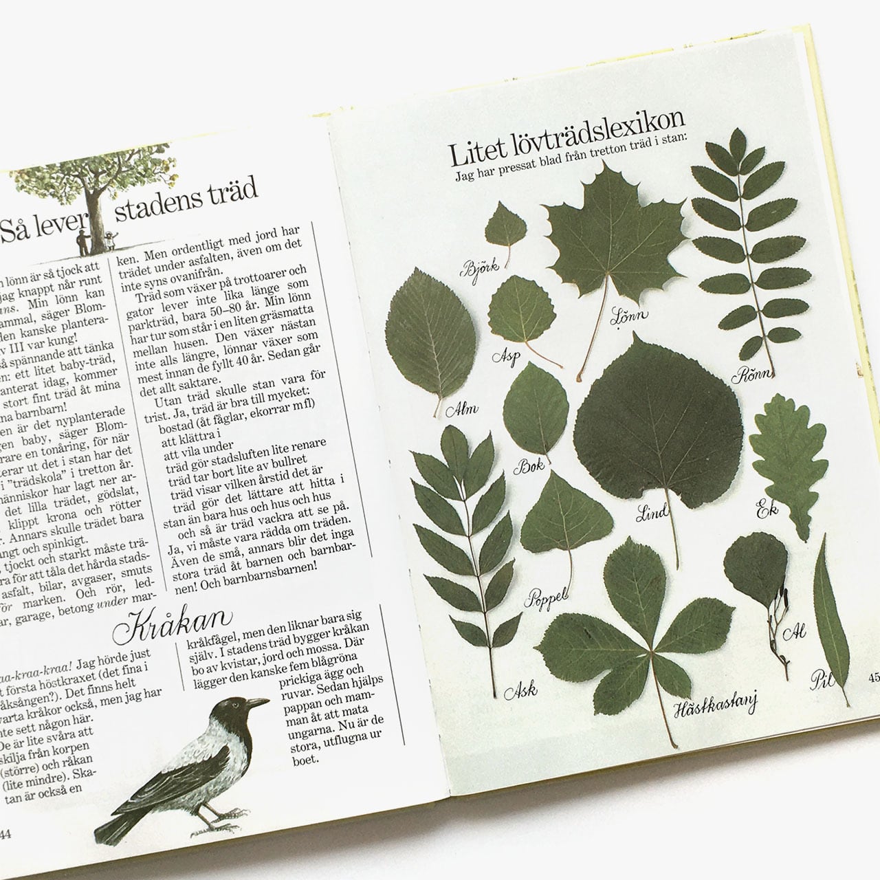 レーナ・アンデション「Linneas årsbok（リネアの12か月）」《1991-01