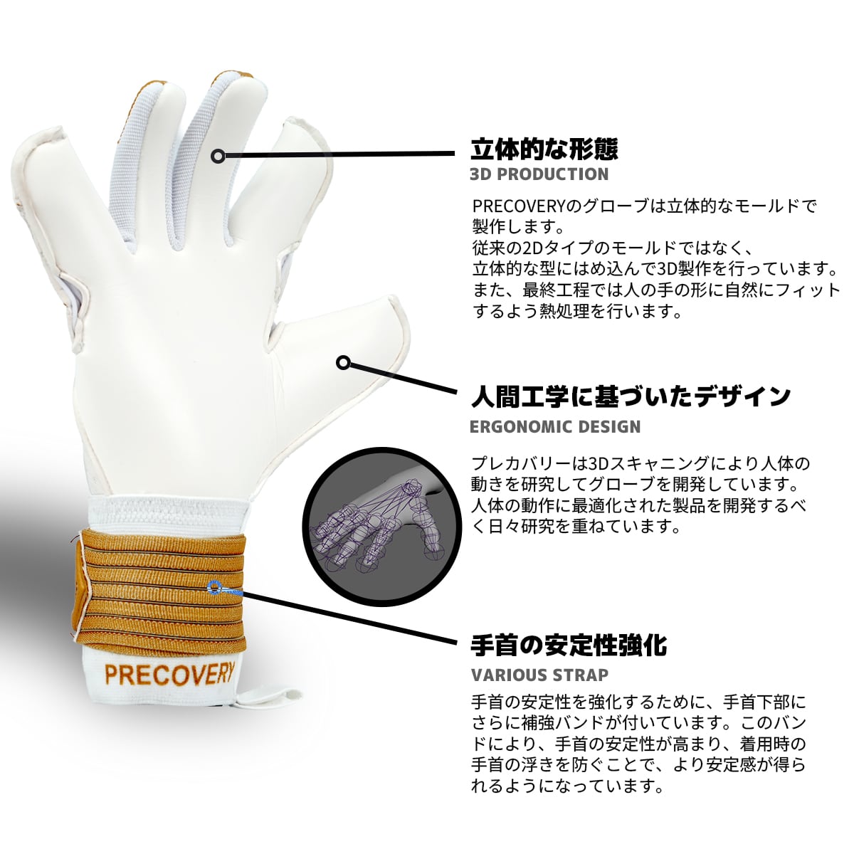 GLORY 5.0 GOLD EDITION STANDARD | PRECOVERY プレカバリー
