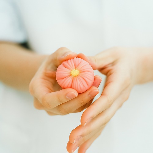 和菓子職人の仕事［株式会社お菓子の香梅］（2名申し込み）