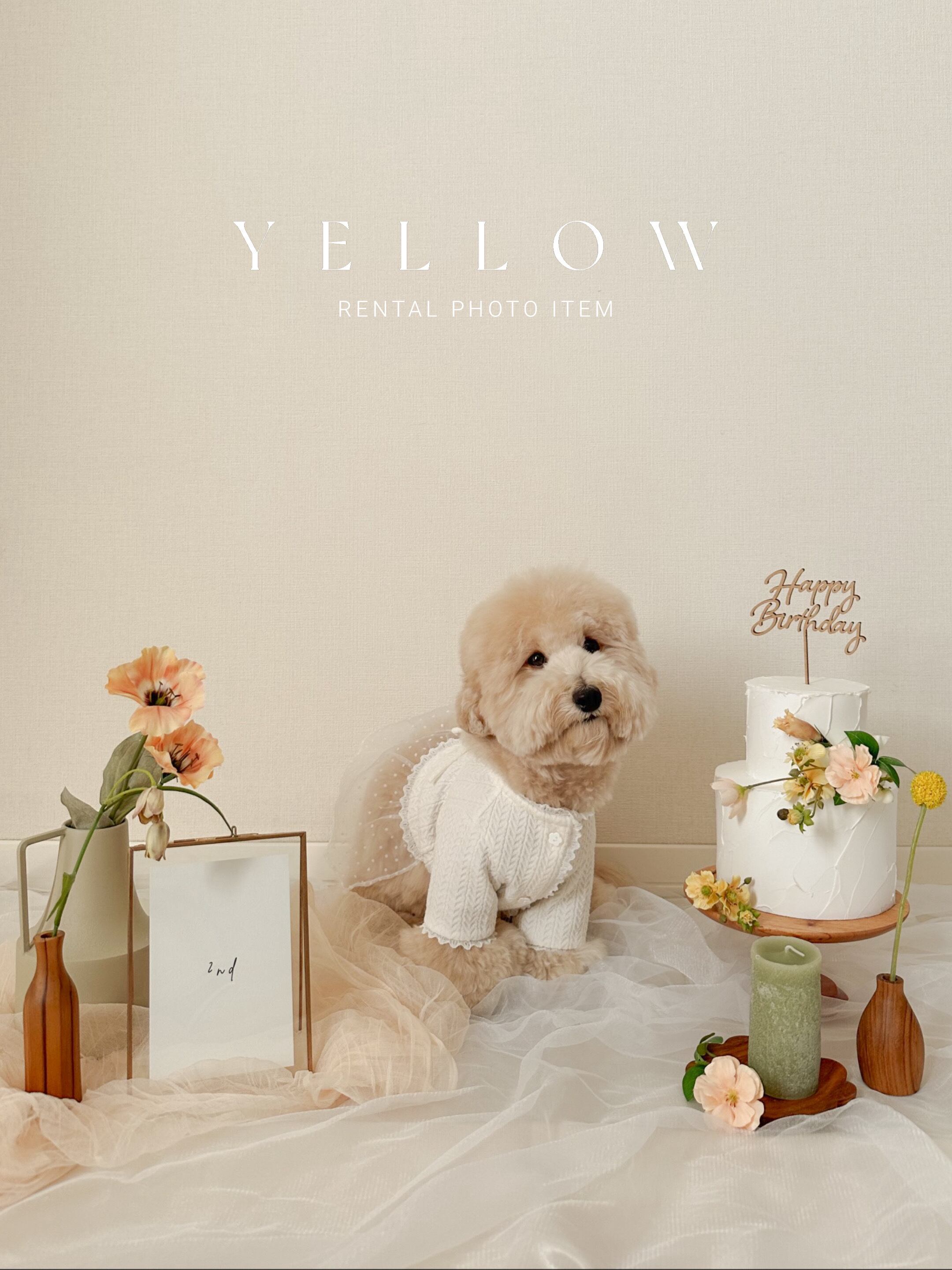 〈レンタル〉YELLOW