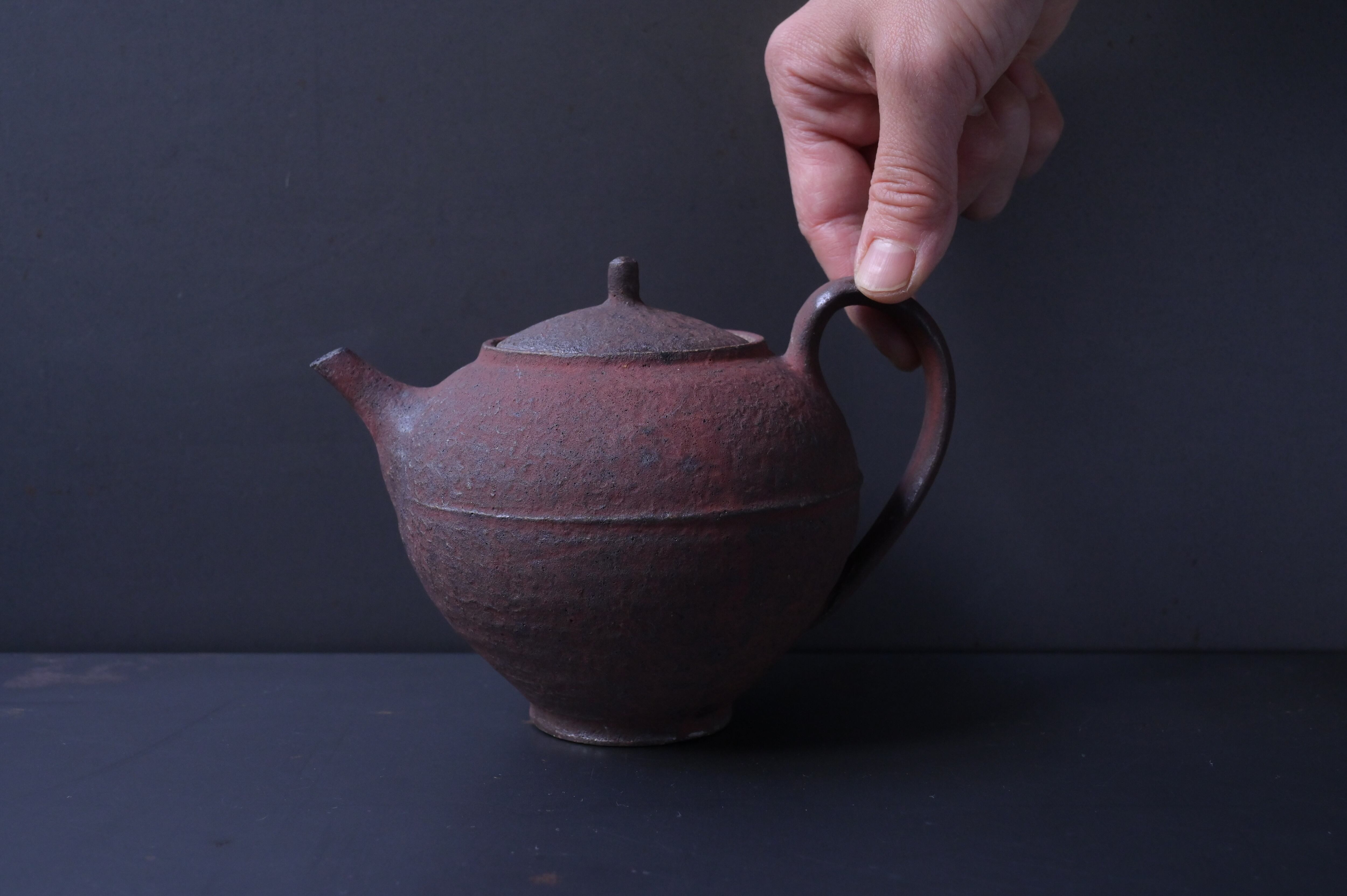 高島大樹　絵皿　鳥と木 高島大樹 絵皿 鳥と木 高島大樹 絵皿 鳥と木