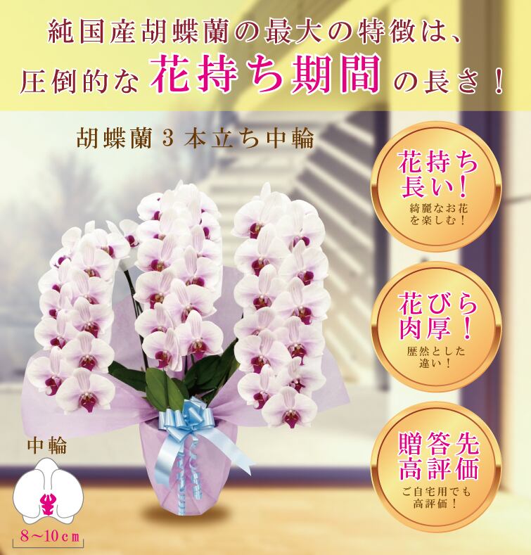 フラワーア 送料無料 誕生日 お供え 開店祝い 就任 お供え プレゼントにも おまかせ ミックスフラワーアレンジメント 花 人気ランキング 花ギフト 花束 結婚記念日 誕生日 などにも バラ 就 します