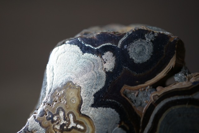 ポーランド産シャーレンブレンド Schalenblende 1883