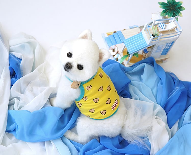 【SALE】  kuma mini crop top S ~ XL 3color  /  犬の服 犬服 新作 夏 ショート丈 クロップドトップス 小型犬 中型犬 ペット洋服 ドッグウェア ペット用品 袖なし タンクトップ  top133