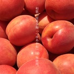 MIYAYOSHI　No.09　large bottle