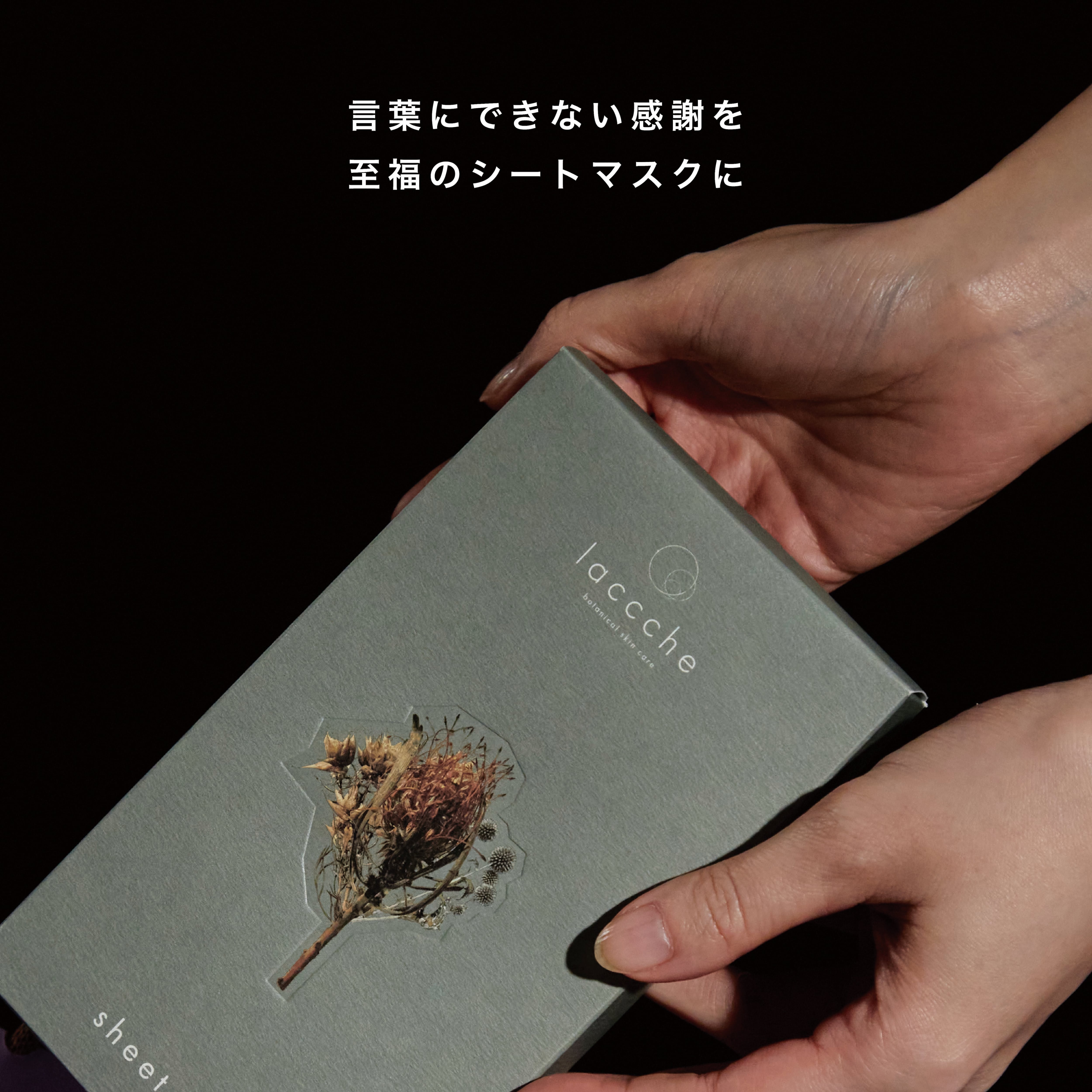 シートマスク 6枚ボックス | laccche