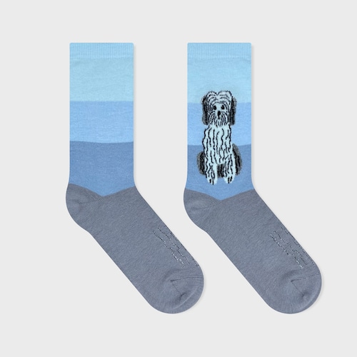 【松尾ミユキ】SOCKS TIBETAN TERRIER チベタンテリア ソックス