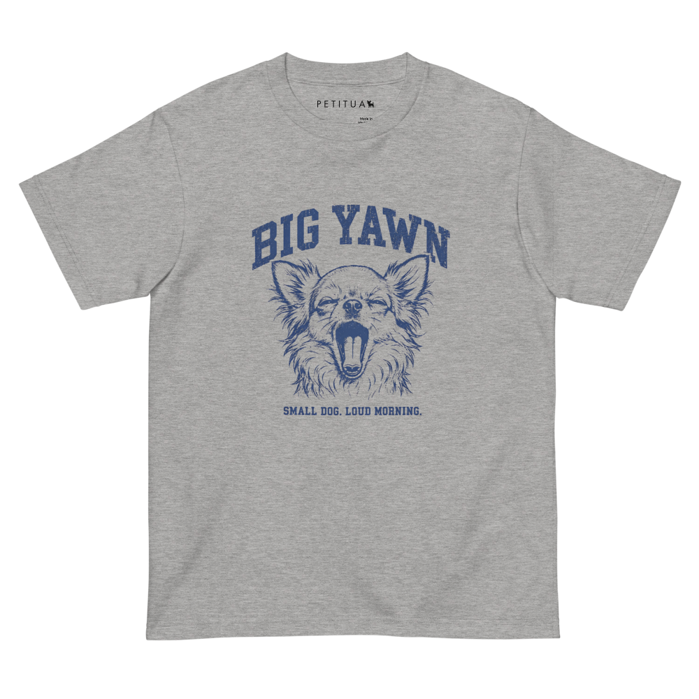 BIG YAWN 半袖Tシャツ P0184