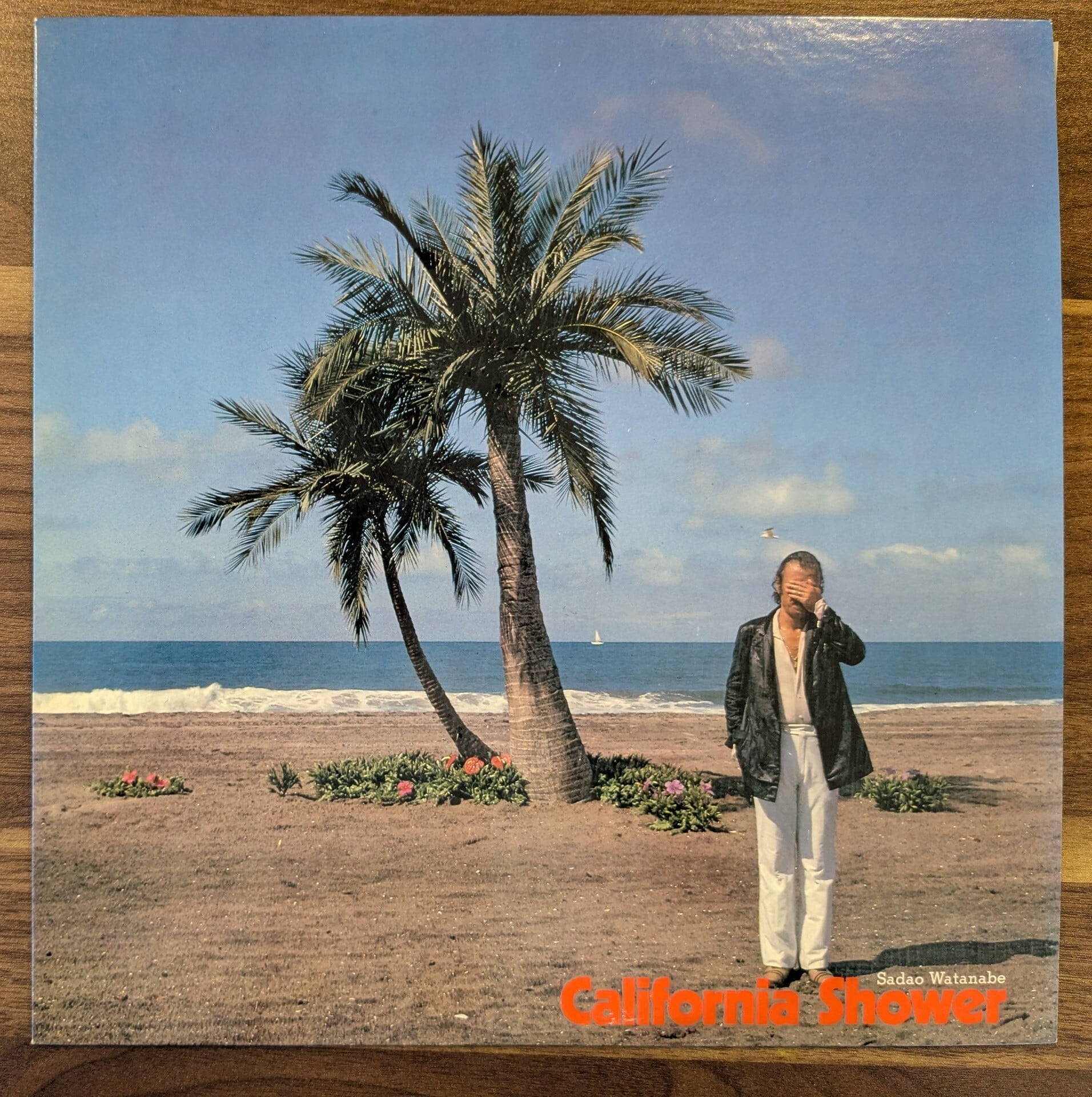 Base Ball Bear「光源」：LPレコード | 音とこだま