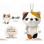 じわ猫 みっけ(9812514)