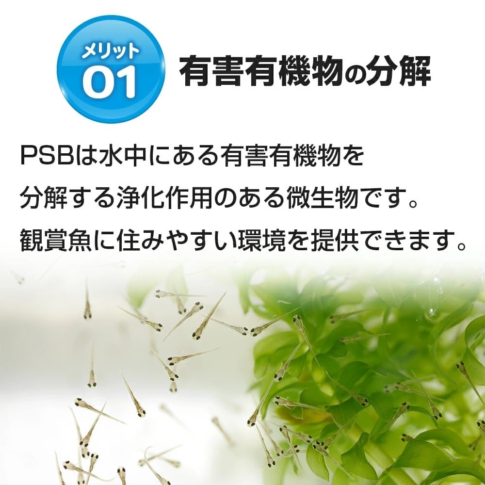 5％OFF 特濃 PSB光合成細菌 PSB光合成細菌 5.0L 1.0L 特濃 関連:めだか