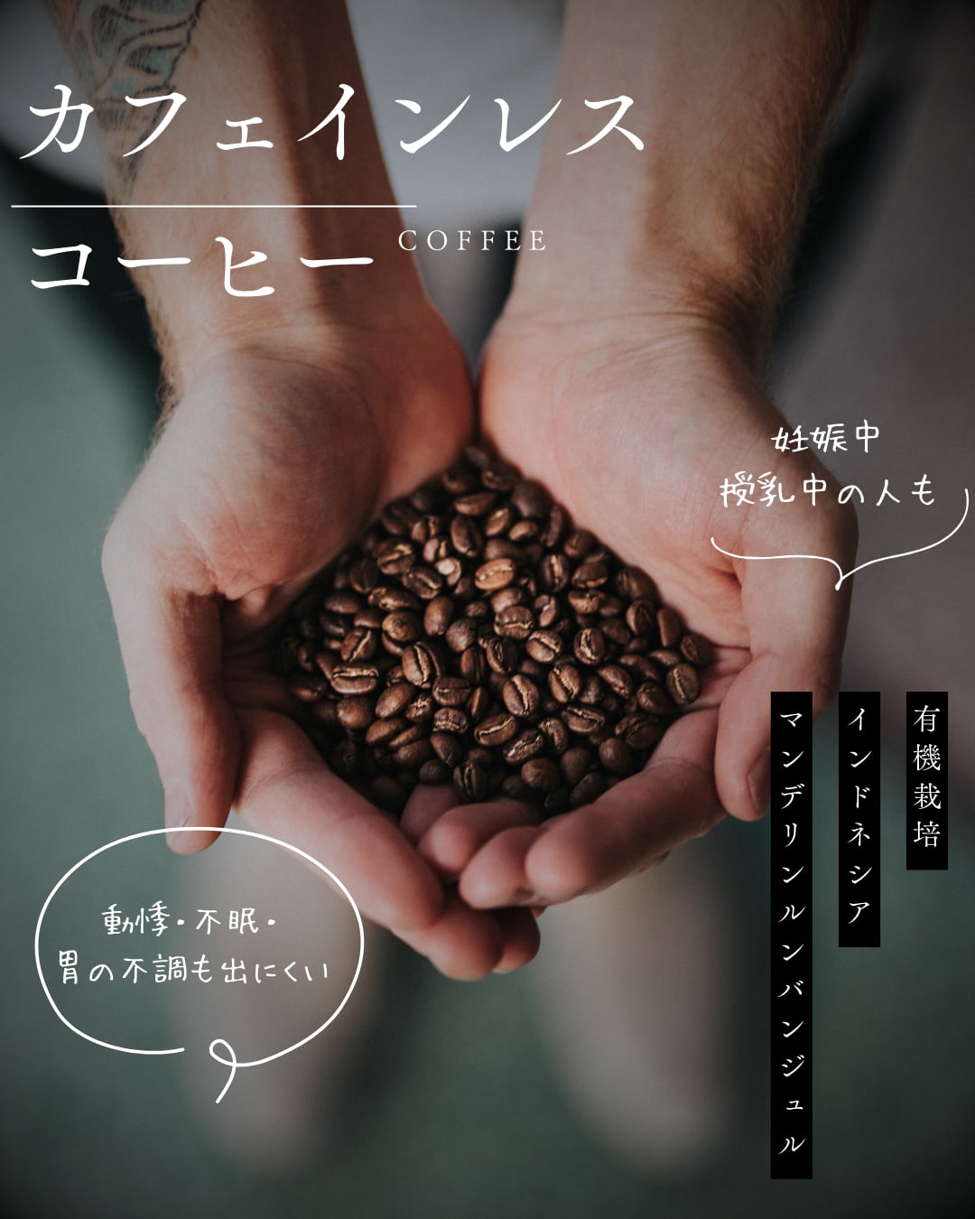 【カフェインレス】インドネシア マンデリン ルンバンジュル