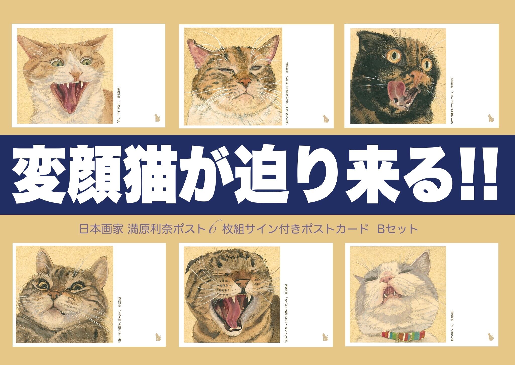 変顔猫が迫り来る‼︎】6枚組サイン付きポストカード Bセット | ﾈｺと