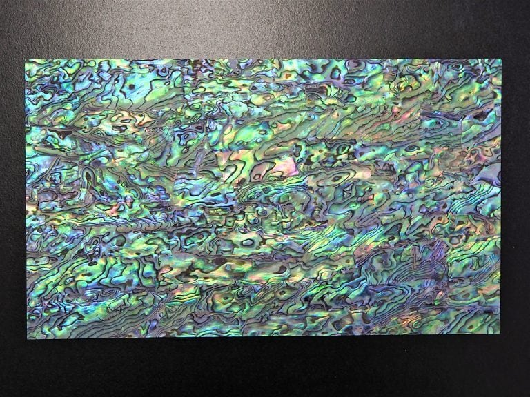 ニュージーランド鮑 シート貝 / New Zealand Abalone Shell Sheet