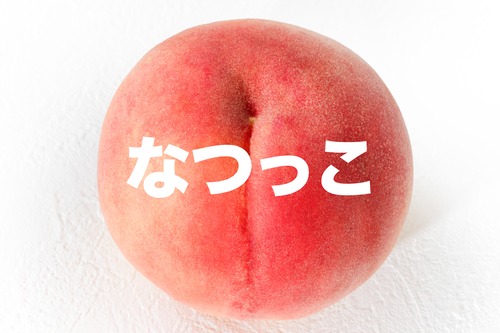 【白桃種】なつっこ【約２ｋｇ（５〜７玉）７月下旬】