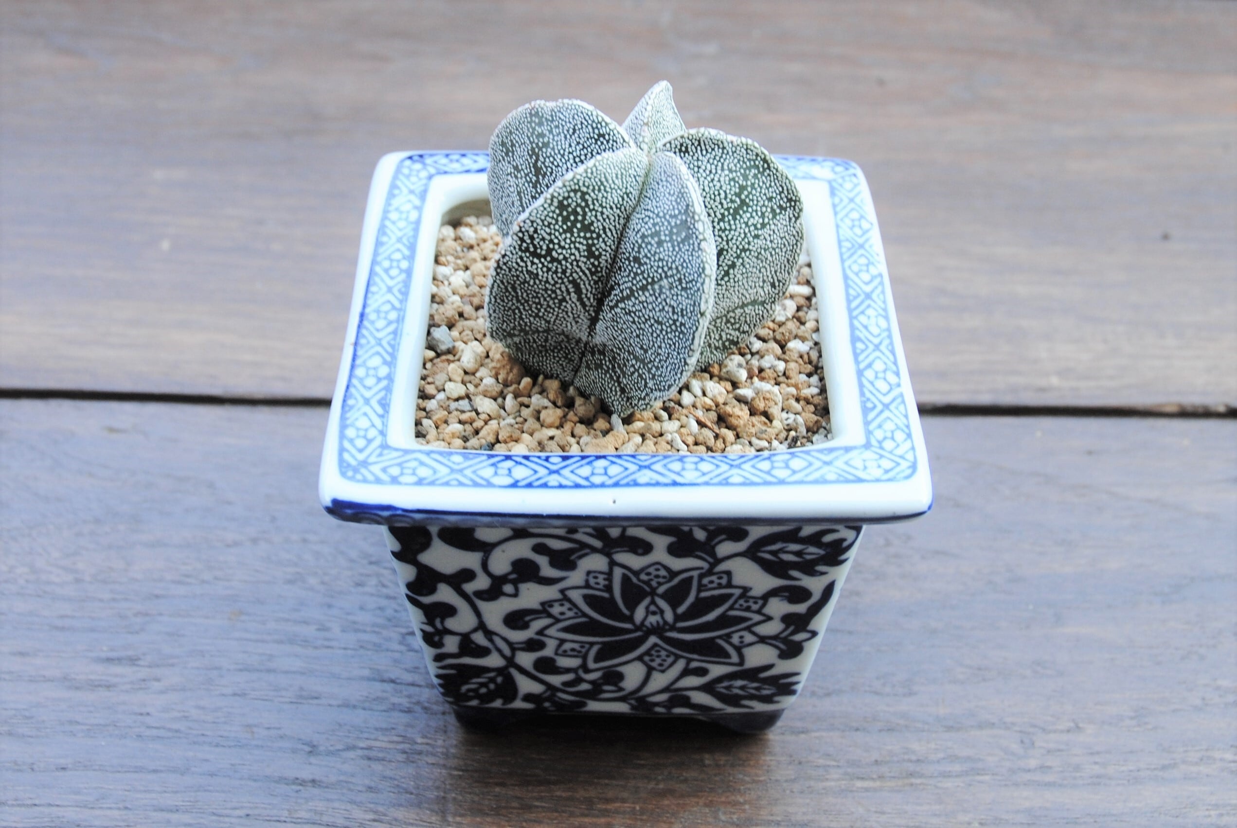 d150cbbc40f330e4590685dd6c84c8