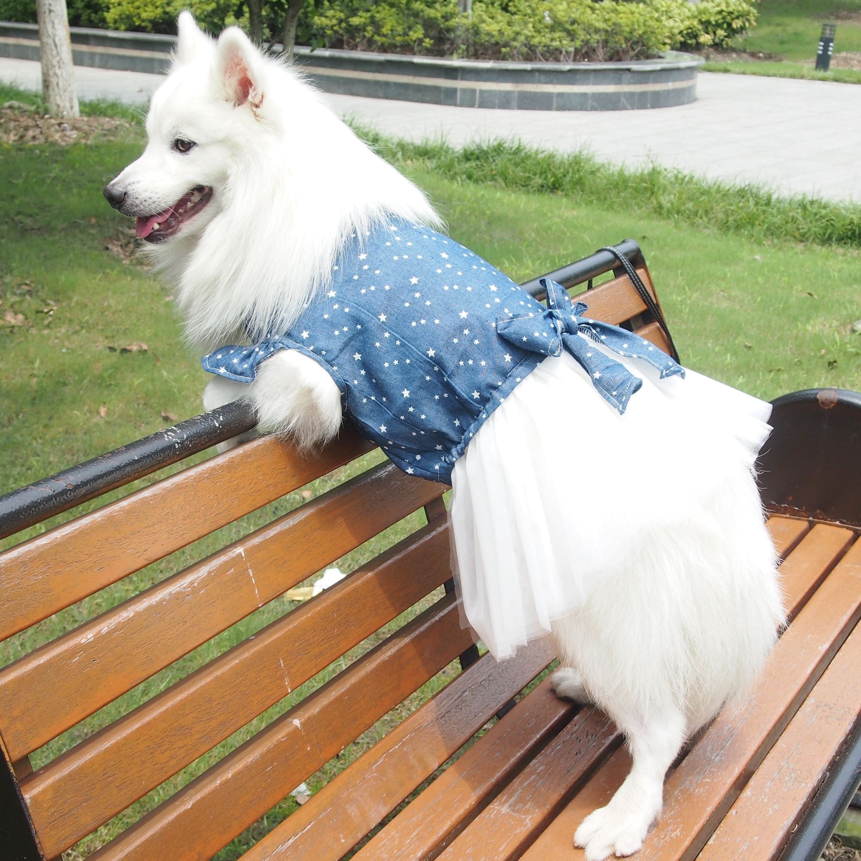 胸囲65~93cm 星柄ブラウスと白のチュチュのワンピース