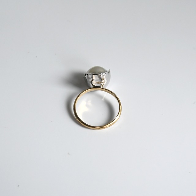 K18 BABY OYSTER RING 12号