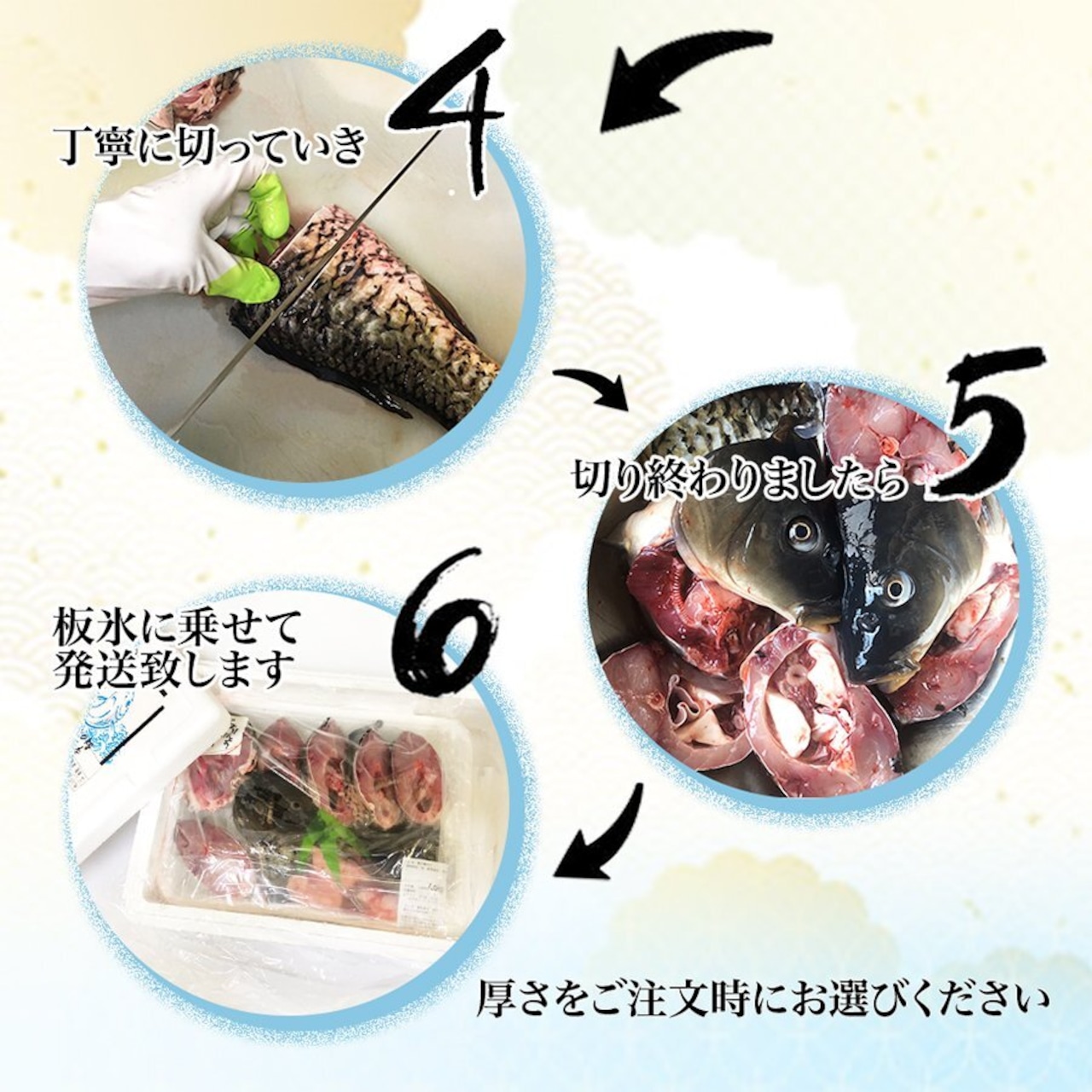 鯉の輪切り 小サイズ 一匹 6-7切れ 活鯉時 1kg前後 食用鯉 切り身 煮付け用 (「本州」の「日曜日着」/「九州•北海道」の「月曜着」はシステム上選べてもできません)
